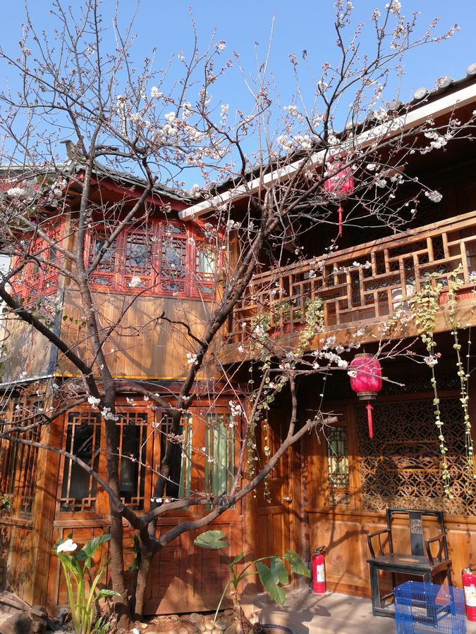 Runtong International Youth Hostel 麗江市 エクステリア 写真